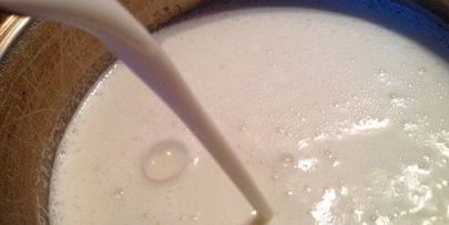 домашний творог