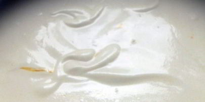 блинная лазанья с лисичками и творожным кремом