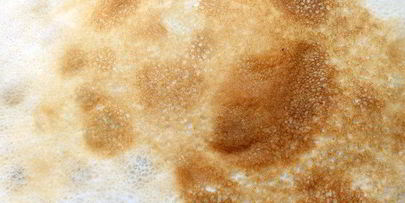 блинная лазанья с лисичками и творожным кремом