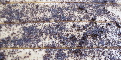 булочки со сливочным кремом