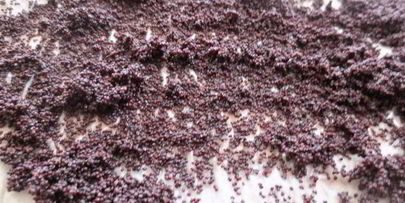 булочки со сливочным кремом