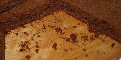 шоколадная симфония с кремом из белого шоколада