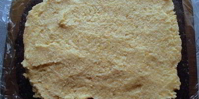 шоколадный рулет с абрикосовым кремом