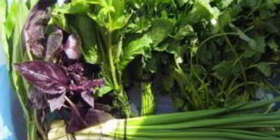 творожный крем с зеленью