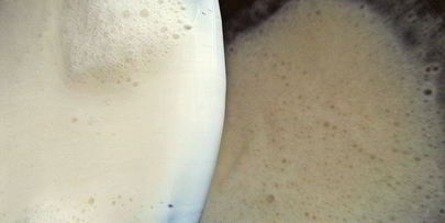 медовая панна котта