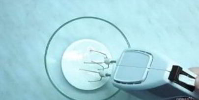 абрикосовое мороженое