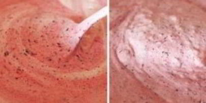 мороженое из голубики и красной смородины