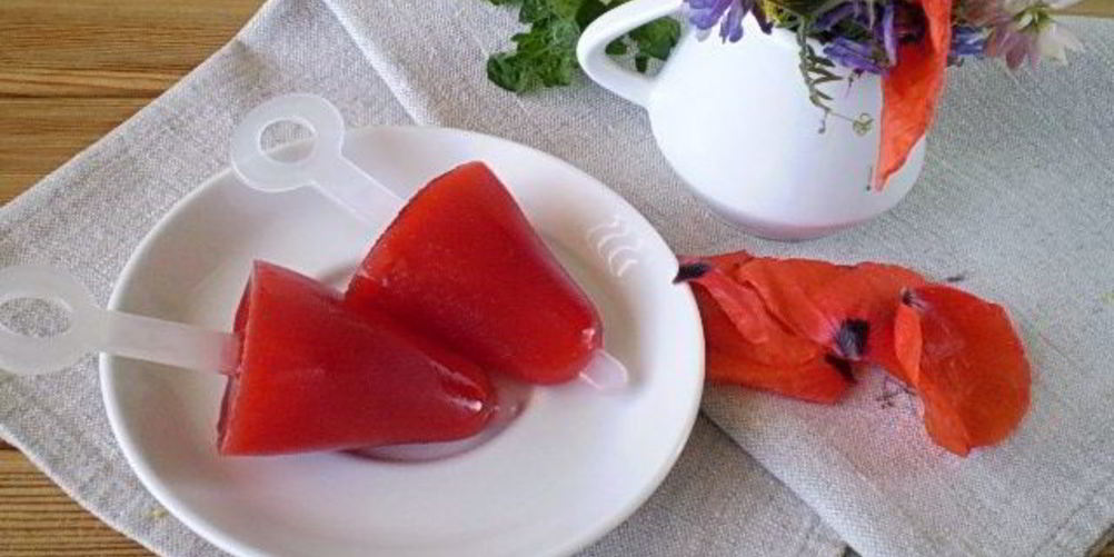 Рецепт мороженое из сока