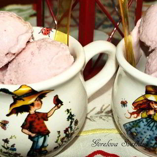 Вишневое творожно-йогуртовое мороженое