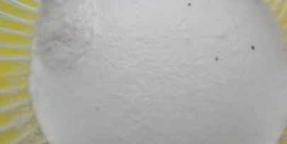 кулич на желтках