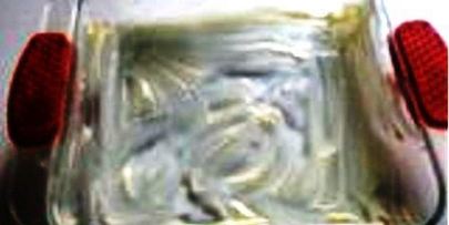 французский картофель анна