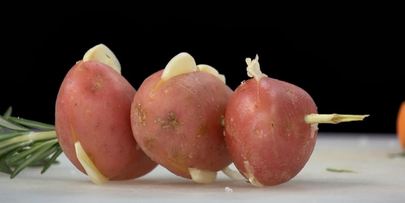 картофель с чесноком