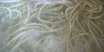 лапша зеленый чай с мясным соусом