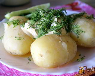 Молодой картофель со сметаной и зеленью