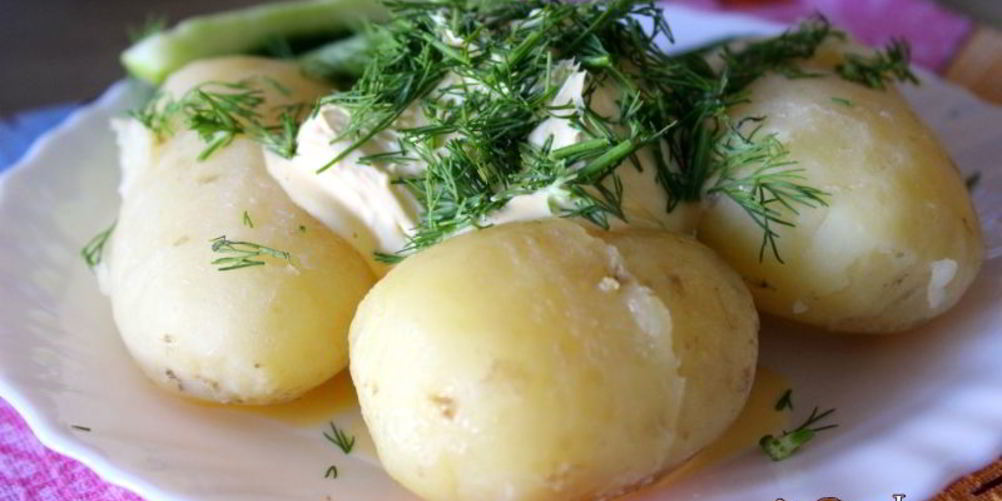 Рецепт молодой картофель со сметаной и зеленью