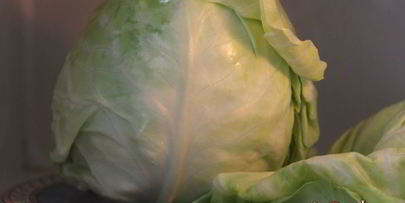 голубцы из молодой капусты