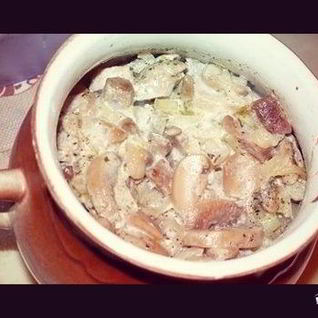 Белые грибы в горшочке