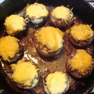 Фаршированные шампиньоны