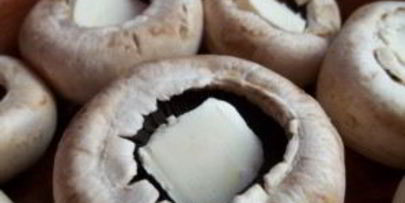 грибы под сыром в духовке