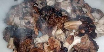 грибы строчки