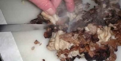 грибы строчки