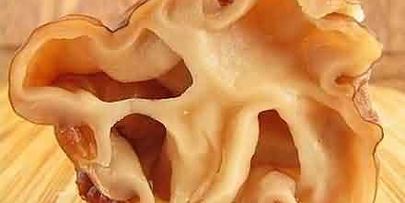 грибы строчки