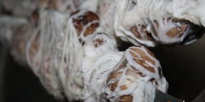 луговые шампиньоны в жировой сетке на мангале