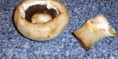 шампиньоны фаршированные в духовке