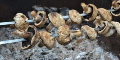 шампиньоны на мангале