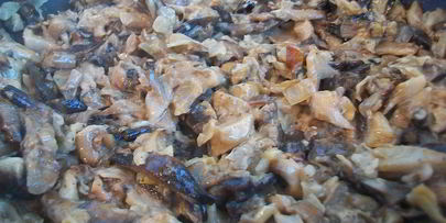 жареные грибы со сметаной — грибная начинка