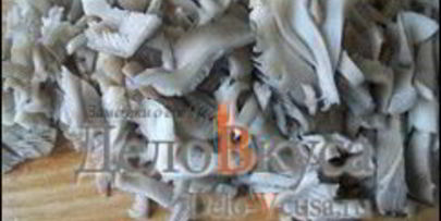 жареные грибы со сметаной — грибная начинка