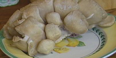 паста с грибами, цыпленком и сливочным соусом