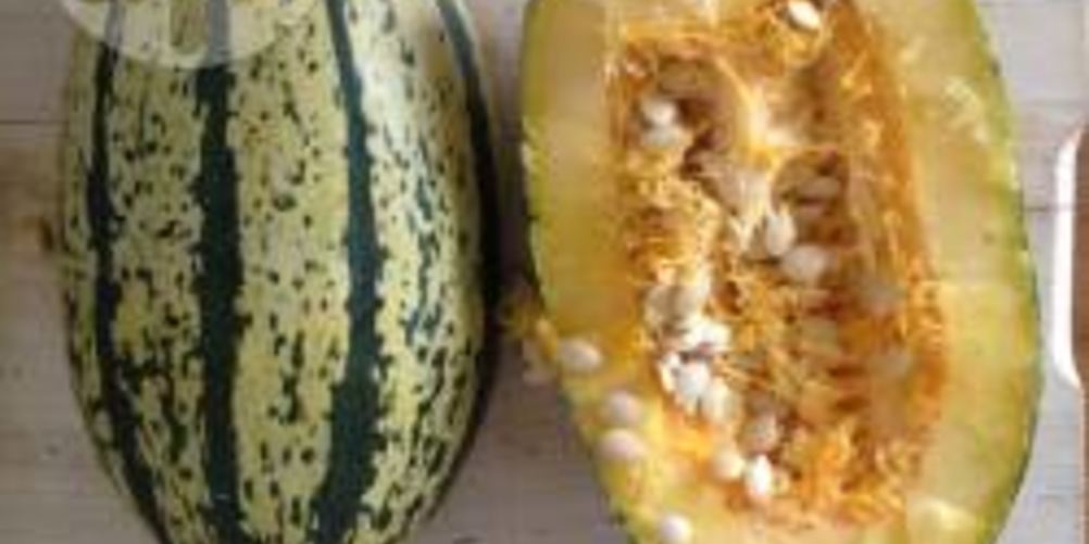 Рецепт печеный кабачок спагетти в духовке