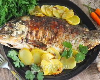 Сазан с картошкой в духовке