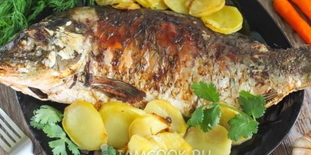 Рецепт сазан с картошкой в духовке