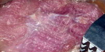 запеченная индейка с апельсинами