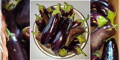 баклажаны готовим впрок