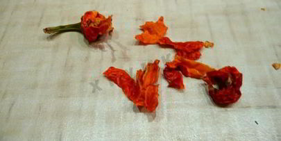 печеные баклажаны в духовке с перцем