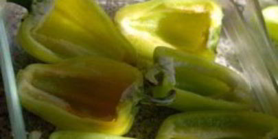 перец, фаршированный гречкой и грибами