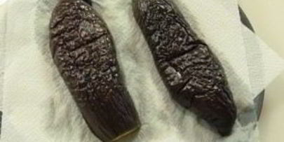 вареные баклажаны