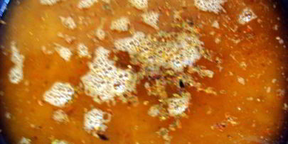 плов узбекский с бараниной