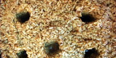 плов узбекский с бараниной