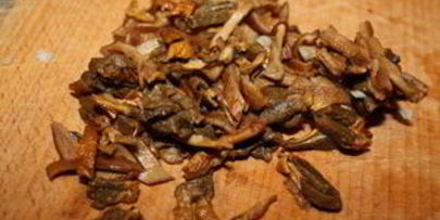 ризотто с лисичками