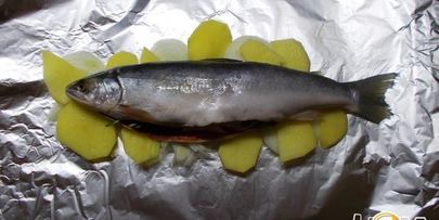 дикий голец, запеченный в фольге