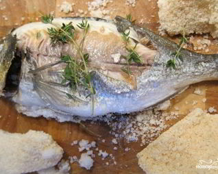 Дорада, запеченная в соли