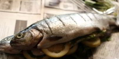 форель на мангале