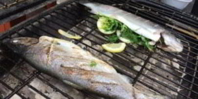 форель на мангале