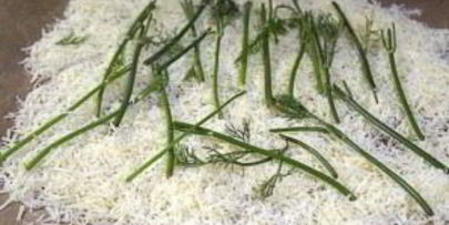 форель эрланген