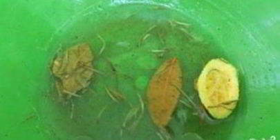 карась на углях