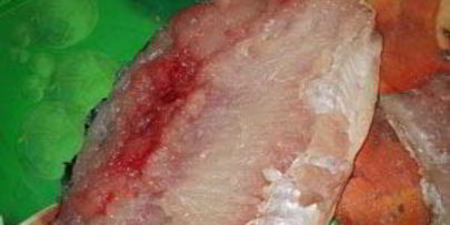 карп в горшочке